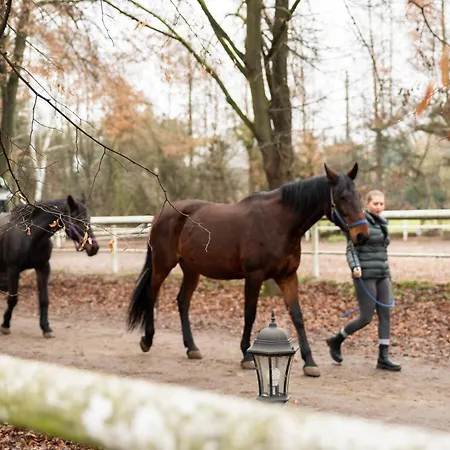W Dworku Cheval Appart hôtel Cracovie