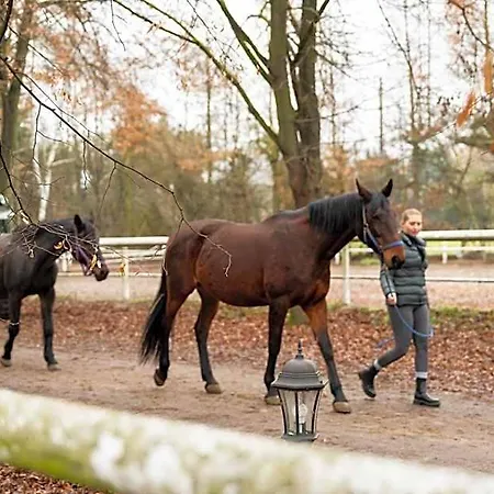 Aparthotel W Dworku Cheval 3*