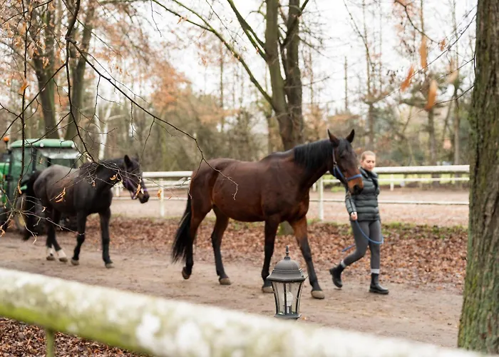 W Dworku Cheval Apartmanhotel Krakkó